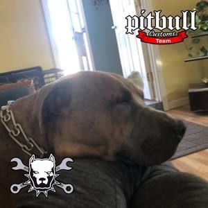 Meet your Posher, Maura